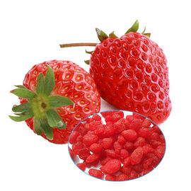 Bocados altamente alimenticios de los frutos secos, fresas liofilizadas ningún azúcar añadido