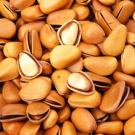 Gusto curruscante Nuts brotado crudo NO- de GMO, nueces de pino crudas con la certificación de BRC