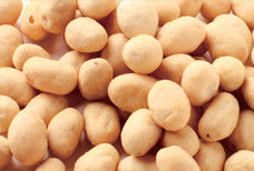 El OEM mantiene el bocado revestido del cacahuete, productos kosher cubiertos Bbq de los cacahuetes del ajo