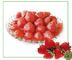 Fruta conservada orgánica de la jalea deliciosa, fresas conservadas con los certificados médicos