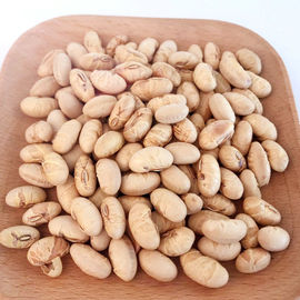 Kosher Halal Certificado Revestido Asado Específico Amarillo Edamame Snacks de Soja ISO Aprobado