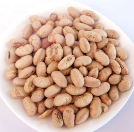 Kosher Halal Certificado Revestido Asado Específico Amarillo Edamame Snacks de Soja ISO Aprobado