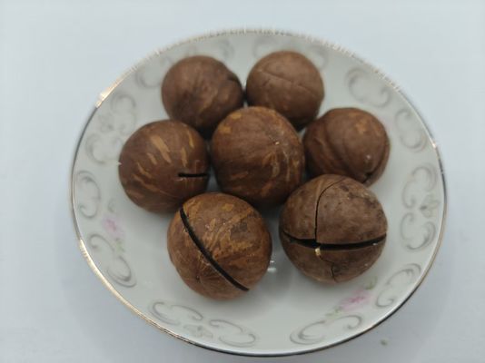 Deliciosas nueces de macadamia naturales en bolsa de plástico