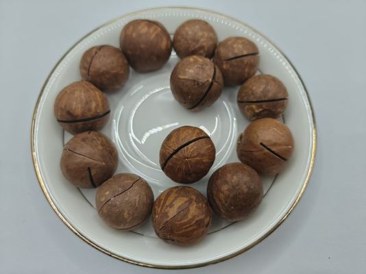 Frutos secos de macadamia
