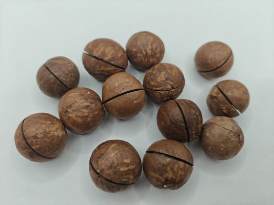 Frutos secos de macadamia
