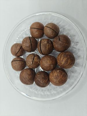 Frutos secos de macadamia