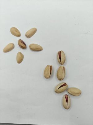 Satisfacer los antojos Pistacho salado asado en cáscara Muestra gratuita