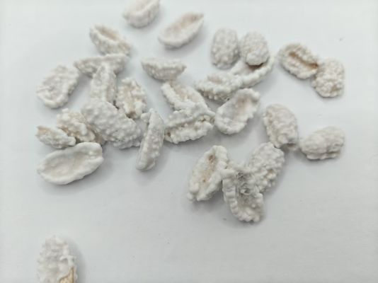 Cacahuetes recubiertos de leche y alto contenido proteico, embalaje a granel, elaborados con condimento lácteo