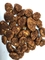 El sabor del cacao del OEM del vegano cubrió a Fried Broad Bean Chips Crispy