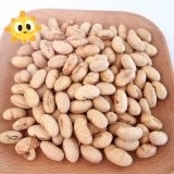 Kosher Halal Certificado Revestido Asado Específico Amarillo Edamame Snacks de Soja ISO Aprobado