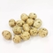 Kosher/Halal/FAD/BRC certificó alga marina cubrió los cacahuetes asados crujientes y los bocados curruscantes de la nuez