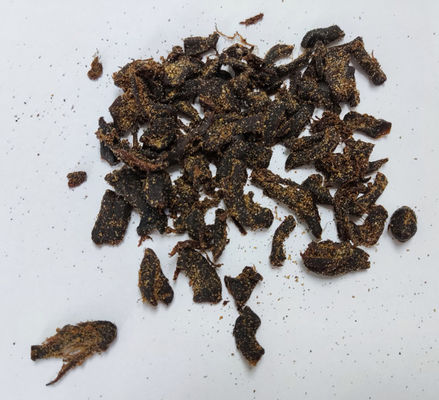 Bocados populares del ocio desigual de la seta del vegano del sabor de la pimienta negra