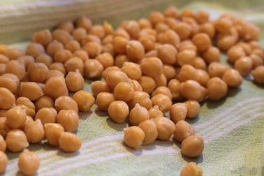 Bocado asado de los garbanzos de la pimienta negra, altas nutriciones saladas secadas de los garbanzos