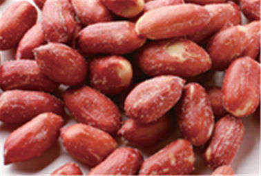 Gusto Certifiaction HALAL del caramelo de la cerveza diverso del corazón revestido rojo grande Nuts de los cacahuetes