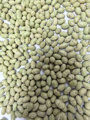 Crujientes de Soja Orgánica Horneada, Snack Nutritivo Denso en Proteínas, Ideal para Fabricantes de Alimentos y Productos Orientados a la Salud