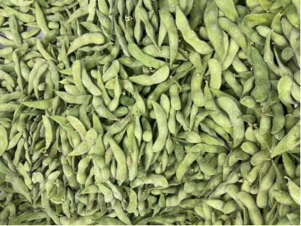 Edamame Beans congelado de alto valor proteico certificado HALAL