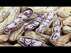 Los cacahuetes de colores son más nutritivos